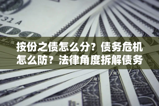 北京按份之债怎么分？债务危机怎么防？法律角度拆解债务分配与风险自保指南