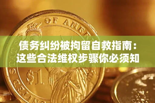 北京债务纠纷被拘留自救指南：这些合法维权步骤你必须知道！