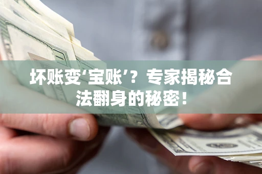北京坏账变‘宝账’？专家揭秘合法翻身的秘密！