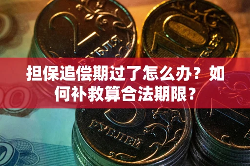 北京担保追偿期过了怎么办？如何补救算合法期限？