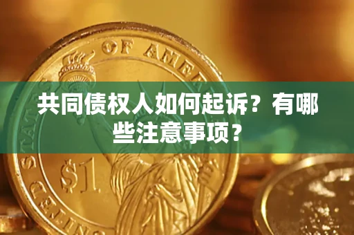 北京共同债权人如何起诉？有哪些注意事项？